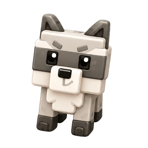 Raccoon